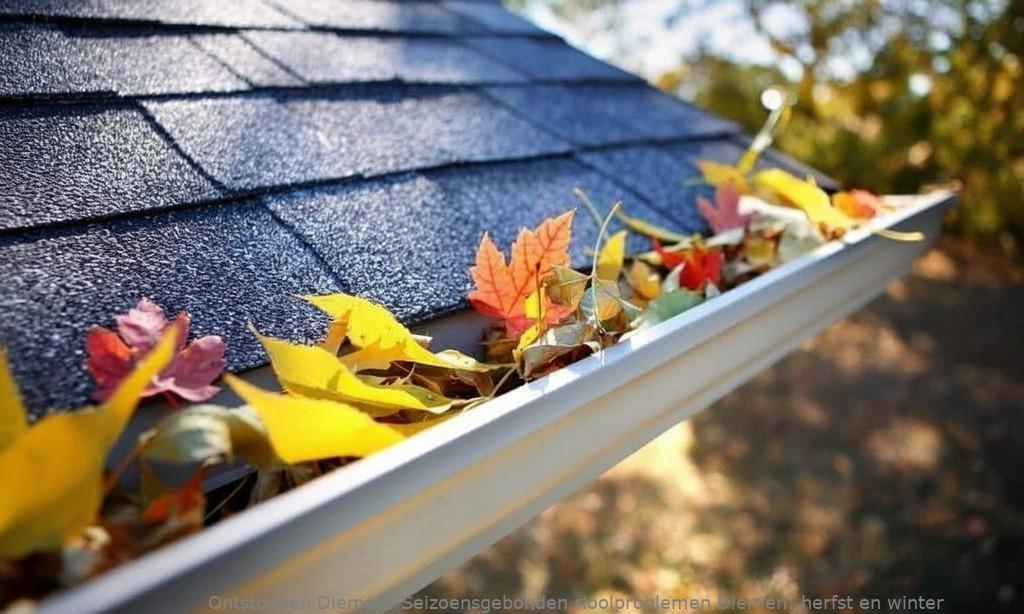 Seizoensgebonden rioolproblemen Diemen: herfst en winter